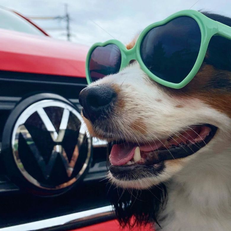 FortPeat 雑誌 VW idol ゴルフ＆ニュービートル・マガジン VW Styling No.003 2002